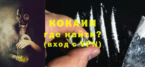индика Богородск