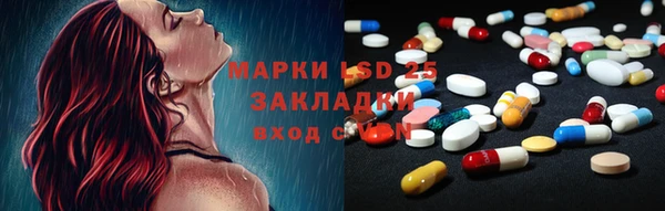 индика Богородск