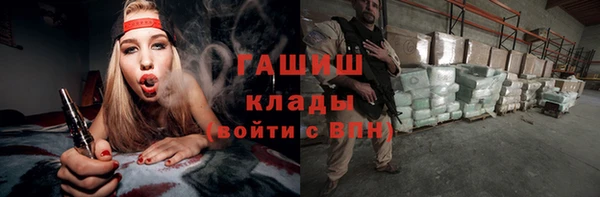 индика Богородск