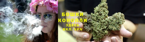 индика Богородск