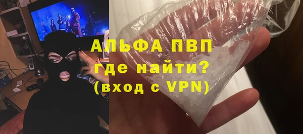 индика Богородск