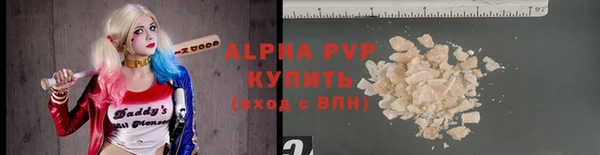 индика Богородск