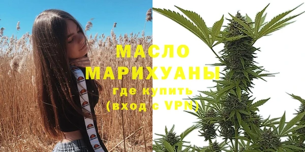 индика Богородск
