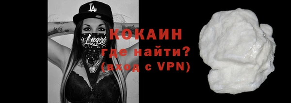 индика Богородск