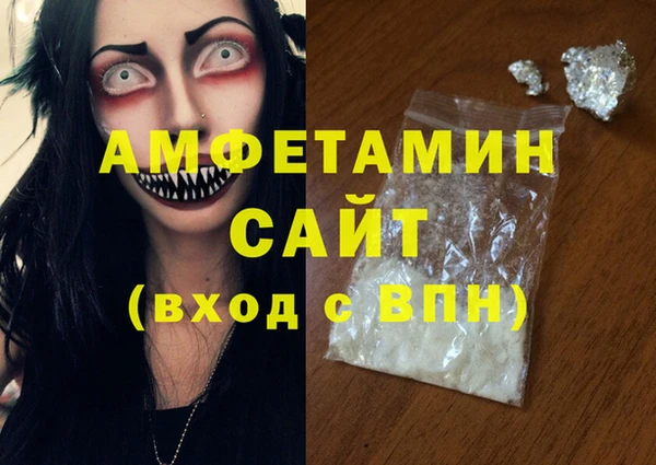 индика Богородск