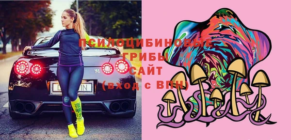 индика Богородск
