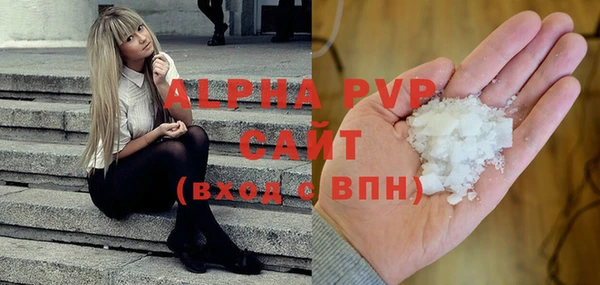индика Богородск