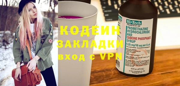 индика Богородск