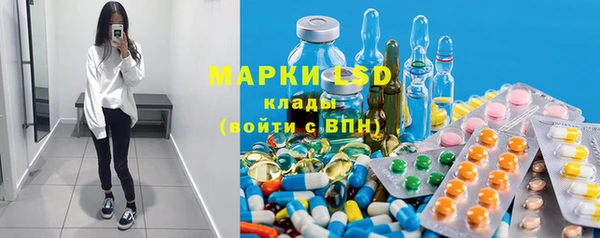 индика Богородск