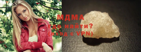 индика Богородск